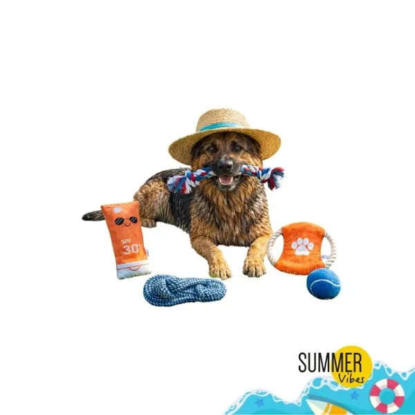 Summer Vibes The Beach Club Set Juguetes para perros