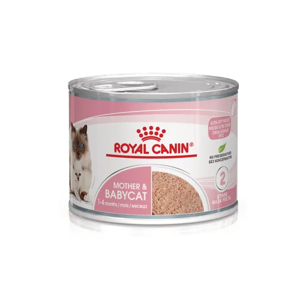 24 latas x 195 g Royal Canin Mother & Baby mousse latas para gatos ¡Pack ahorro!