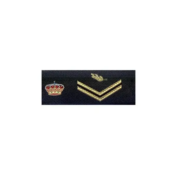 Divisa pecho Policía CNP