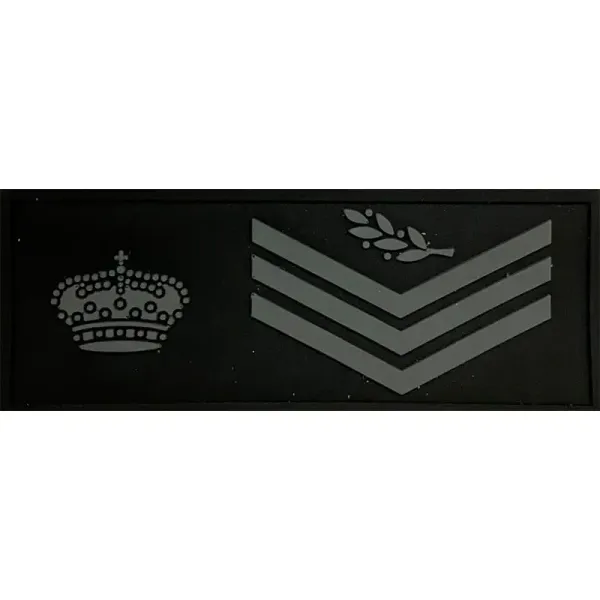 Divisa pecho Oficial Policía Nacional baja visibilidad