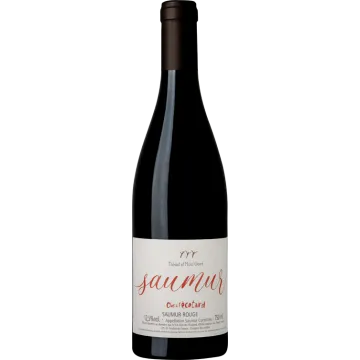 Saumur Rouge 2022 - Clos de l'Écotard