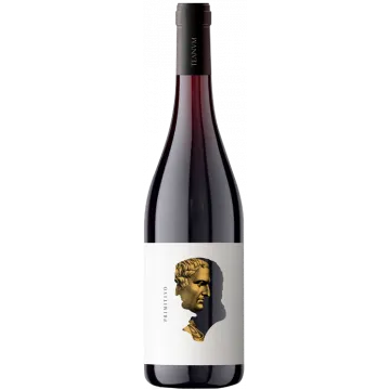 Otre Primitivo 2024 - Cantine Teanum