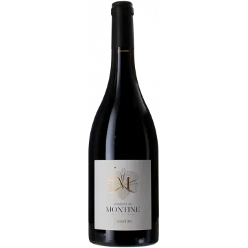 Emotion 2023 - Dominio de Montine