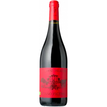 Rosso Piceno 2024 - Saladini Pilastri