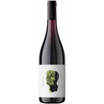 Otre Aglianico 2022 - Cantine Teanum