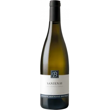 Santenay Blanc 2024 - Dominio Bertrand Bachelet