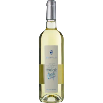 Muscat de Rivesaltes 2025 - Dominio Semper