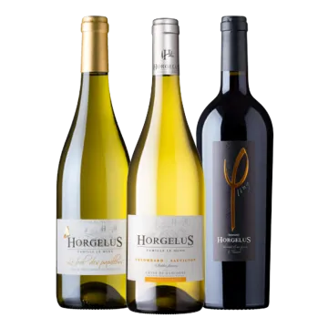 Pack 3 Botellas - Suroeste - Horgelus