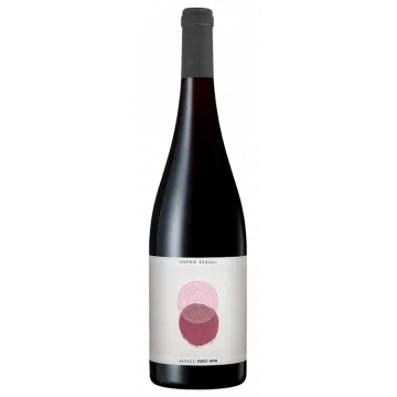 Pinot Noir 2025 - Sophie Schaal