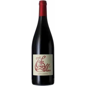 Autour du Cinsault 2025 - Les Vignes Oubliées