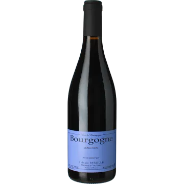 Borgoña Rouge 2023 - Domaine Sylvain Pataille
