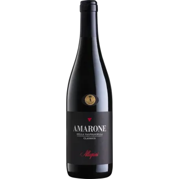 Amarone della Valpolicella Classico 2021 - Allegrini