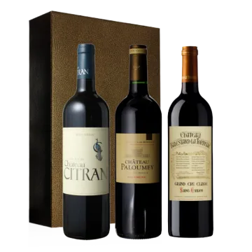 Estuche Bordeaux 3 Botellas- Special de Cosecha 2016