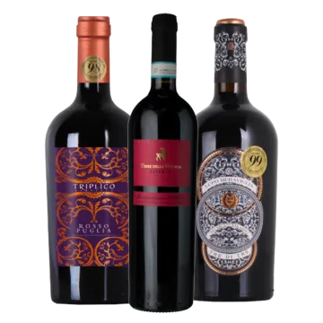Pack 3 botellas - Botter