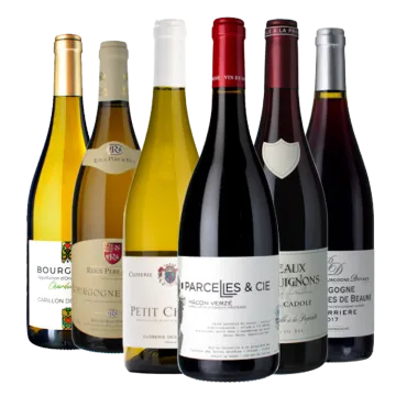 Pack Mejores Ventas 100% Borgoña