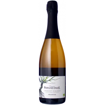 Crémant d'Alsace Promesse - Dominio Fernand Engel