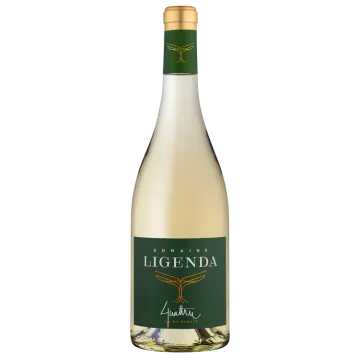 Quattru 2024 - Dominio Ligenda
