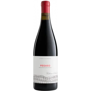 Pizarra 2022 - Pegaso - Telmo Rodríguez